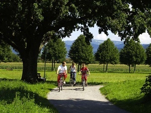 Der Dreisamtal-Radweg