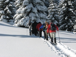 Schneeschuhwandern